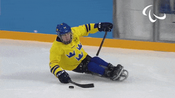 Ice Hockey Pain GIF by International Paralympic Committee