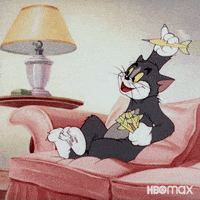 Chasing Tom And Jerry GIF by HBO Max