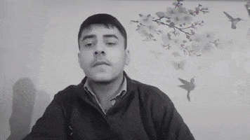 Asli GIF