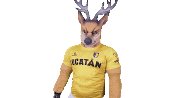 Yucatan Primerosoyvenado Sticker by Venados FC