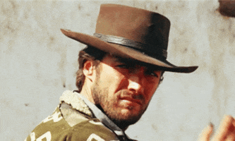 Cowboy GIF
