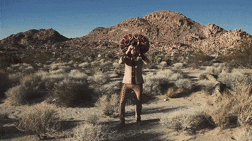 Jamming Trumpet Solo GIF by Sofa City Sweetheart