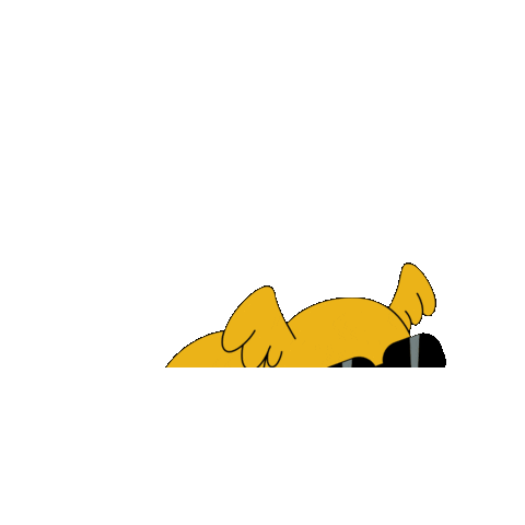 Inovavet Sticker by Inova Hospital Veterinário