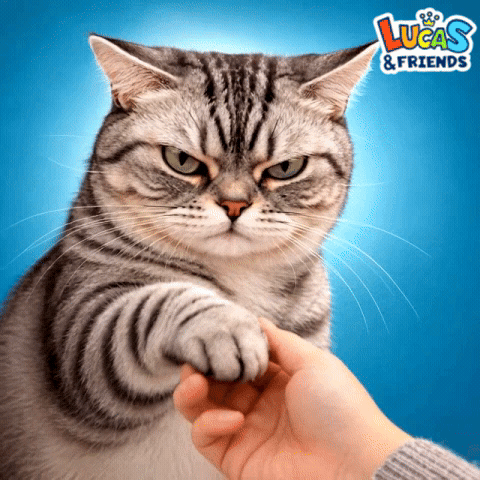 Angry Cat GIF by Lucas and Friends by RV AppStudios