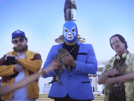 Danny Mcbride Cats GIF by Don Gato Tequila