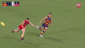 Taylor Walker Celebration GIF by Adelaide Crows