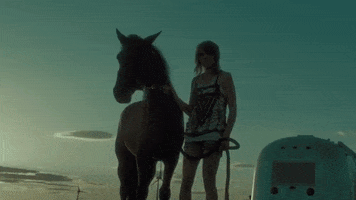 audiogram_ horse field champs cheval GIF