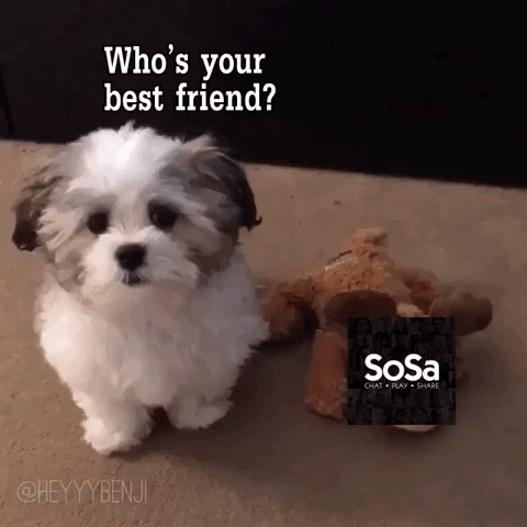 Friends GIF