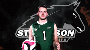 GoMustangSports GIF