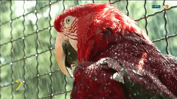 sonne GIF by Mitteldeutscher Rundfunk