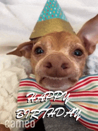 Happy-birthday GIFs - Get the best GIF on GIPHY