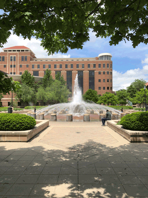 Brian Lamb School of Communication GIF