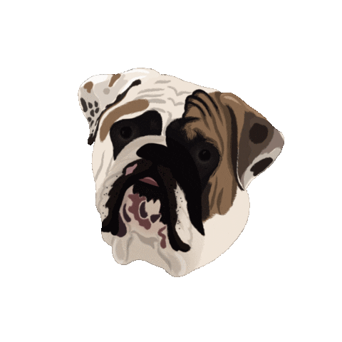 Dog Sticker