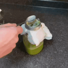 Animated GIF