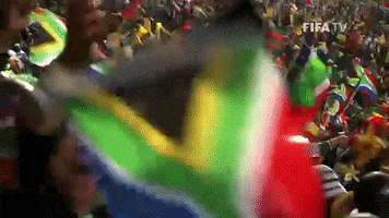 Celebrating South Africa GIF by FIFA