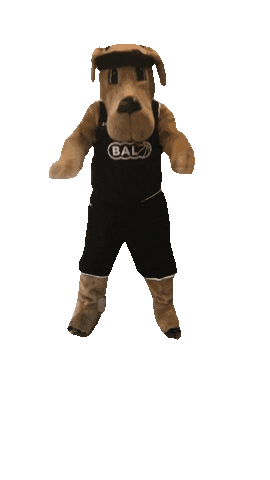 Basketbal academie Limburg Sticker