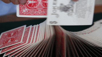 adrubens hello lol ace reveal GIF