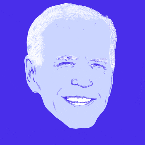 Joe Biden Deal With It GIF by Jennifer Van Meter