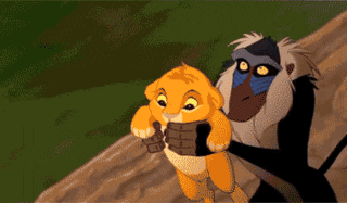 Movie gif. Rafiki of The Lion King holds baby Simba above his head on Pride Rock before yeeting the baby lion over the edge.