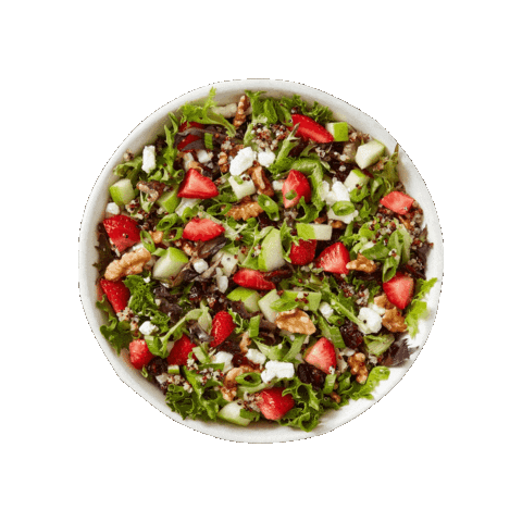 Lunch Salad Sticker by Foodtastic