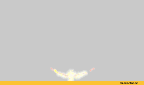 ds