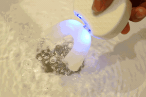 Shebuel GIF