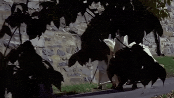 Exorcist GIF