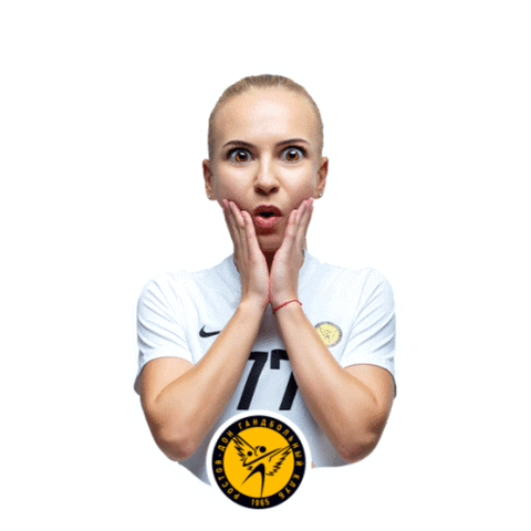 Shock Handball Sticker by Rostov-Don