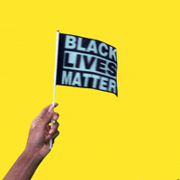Black Lives Matter Flag GIF by Hello All