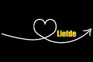 Jong N-VA Lommel GIF