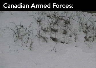 canadian