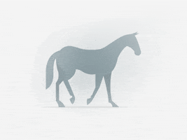 Selaria Vertentes GIF