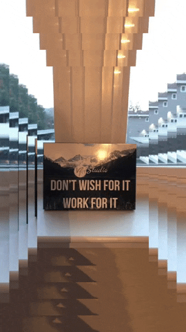 thevfitstudio vfit dont wish for it work for it GIF