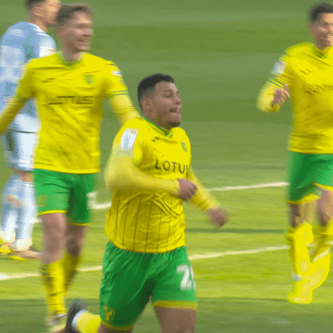 Premier League Celebration GIF by Norwich City Football Club