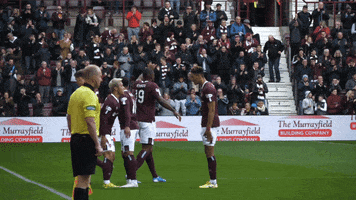 Take A Bow Football GIF by Heart of Midlothian