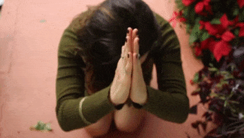 Elsenderodelchaman GIF