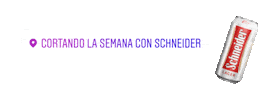 Schneider Argentina Sticker