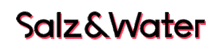 Logo Digitalagency Sticker by Salz & Water