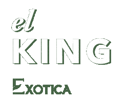 Loveyoudad El King Sticker by Exotica