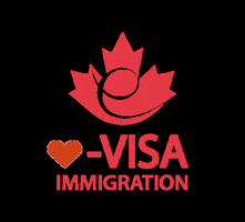 e-Visa Immigration GIF