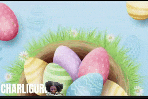 Easter Bunny Trending GIF by Charli Gurl