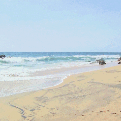 Beach Love GIF by Bachelor in Paradise
