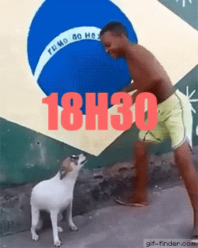 Animated GIF