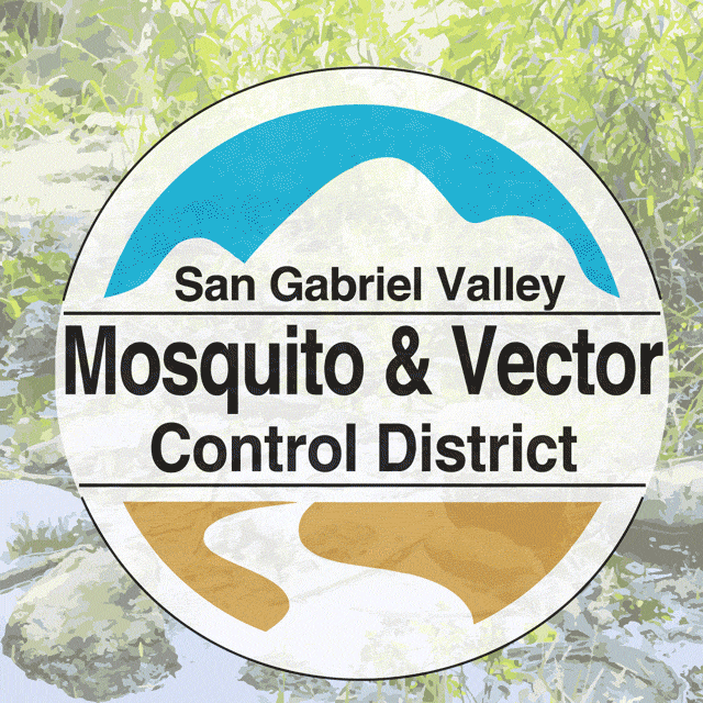 sgvmosquito life animal health science GIF