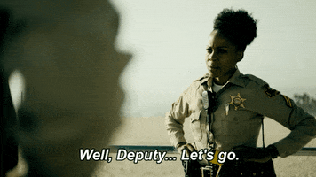 Lets Go Sheriff GIF by FOX TV