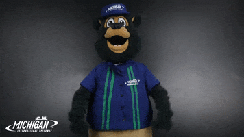 MISpeedway happy smile thumbs up nascar GIF