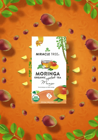 miracletreetea moringa moringa tea miracle tree miracle tree tea GIF