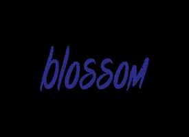 Itely Hairfashion Brasil GIF