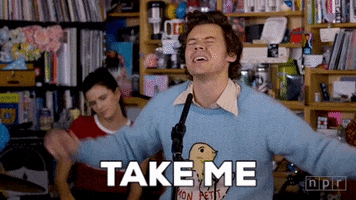 Harry Styles GIF