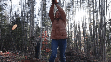 Splitting Wood GIF